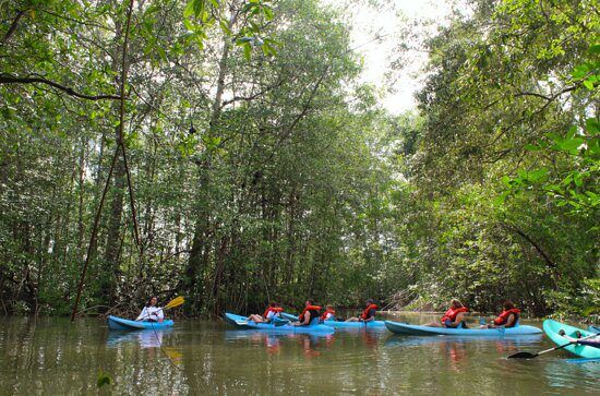 Mangrove 1 - HOTEL VOS
