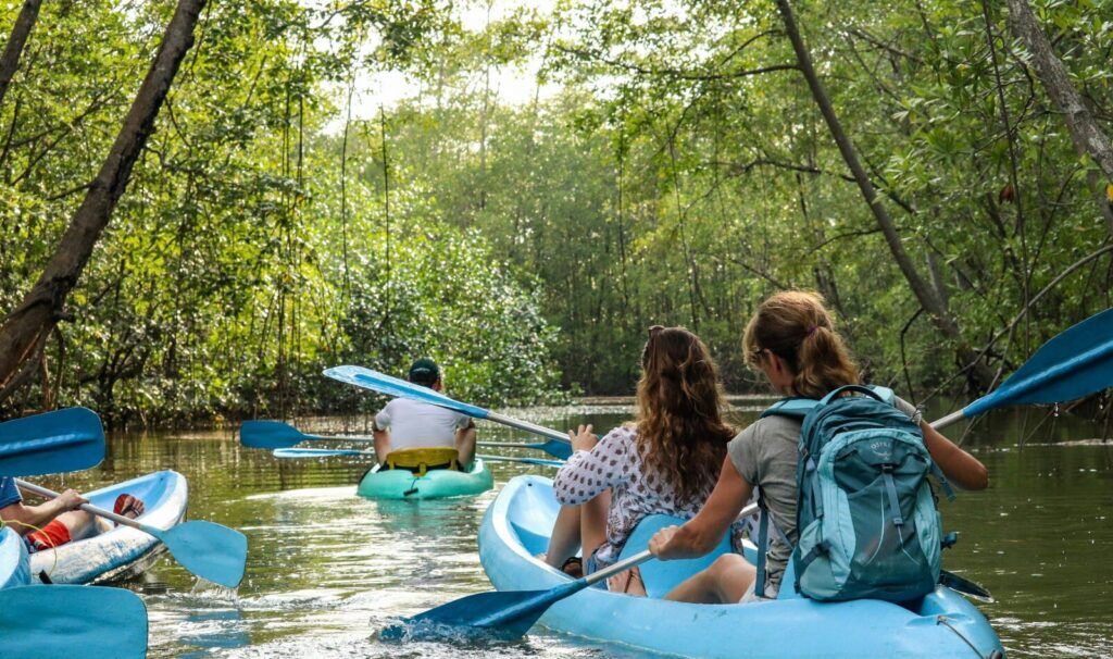 Mangrove 2 - HOTEL VOS