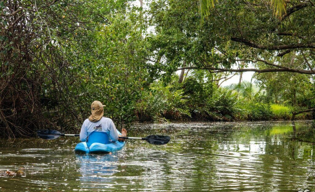 Mangrove 3 - HOTEL VOS